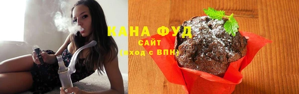 мдпв Бородино