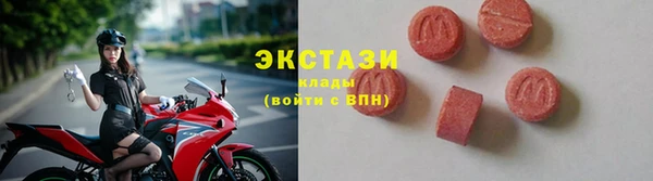 мдпв Бородино