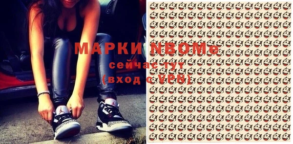 мдпв Бородино