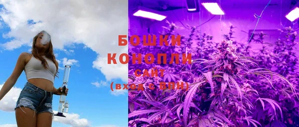 ешки Бронницы