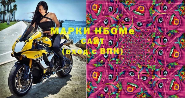 мдпв Бородино