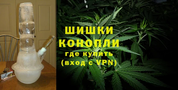 ешки Бронницы