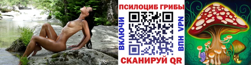 Псилоцибиновые грибы Psilocybine cubensis  Архангельск 